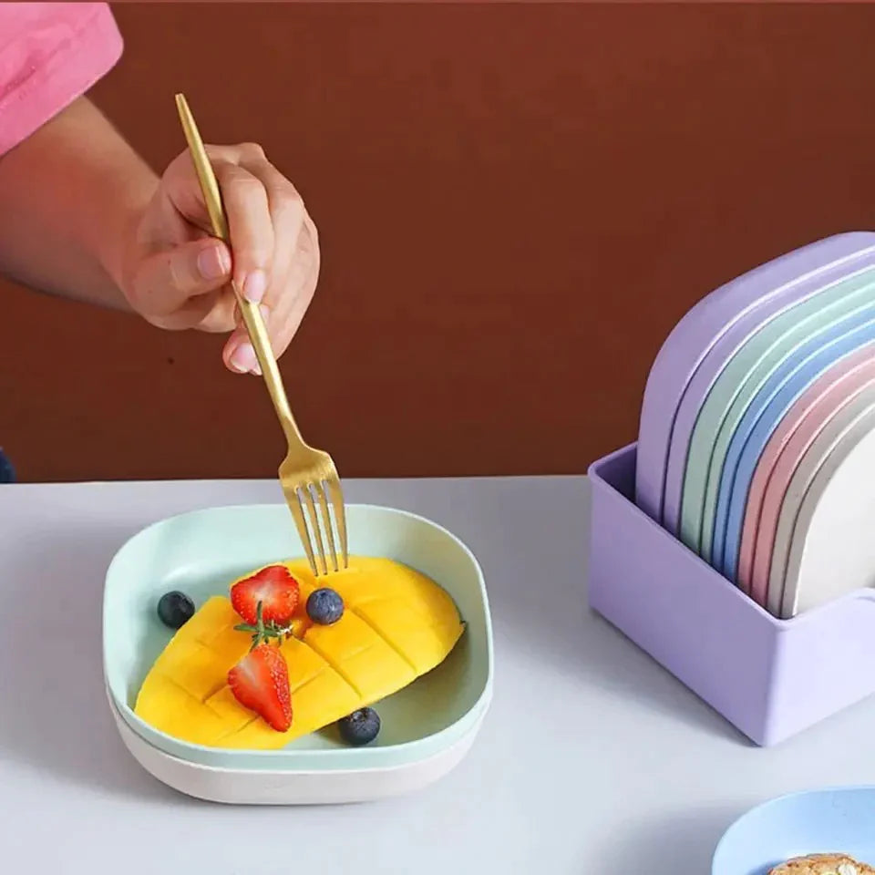 10 Pcs Plates with Stand