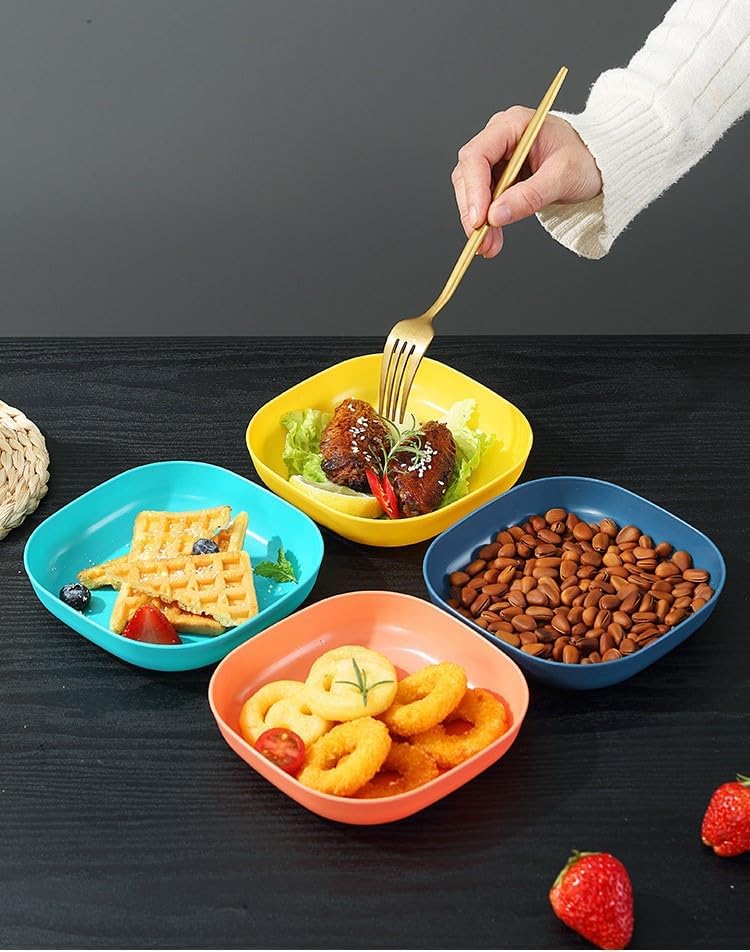 10 Pieces Plate Set