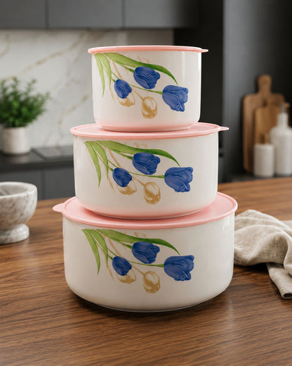 3 pcs Air Tight Ceramic Bowl Set