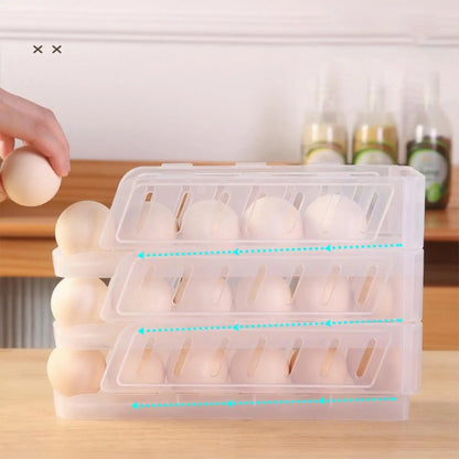 EGG HOLDER ORGANIZER